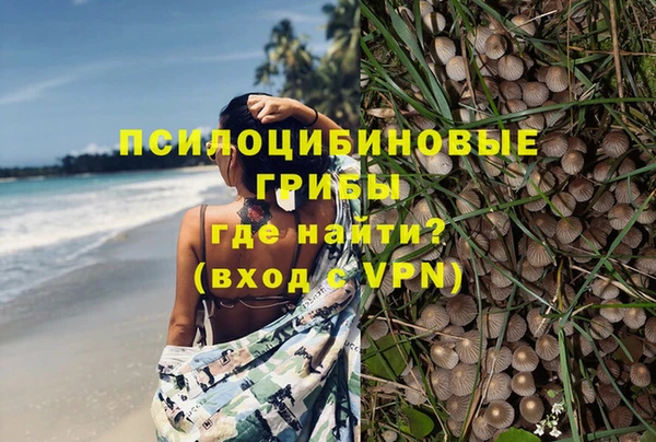 гидропоника Балахна
