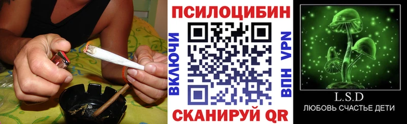 Псилоцибиновые грибы Psilocybe  OMG ССЫЛКА  Верея  где продают наркотики 